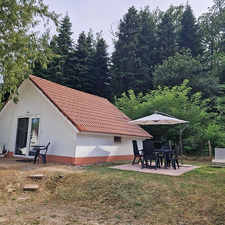 Mon Chalet En Ariege Avec Piscine Daumazan-sur-Arize Exteriör bild