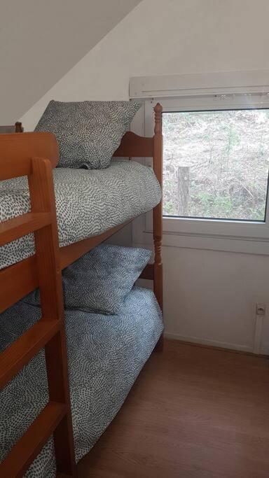 Mon Chalet En Ariege Avec Piscine Daumazan-sur-Arize Exteriör bild