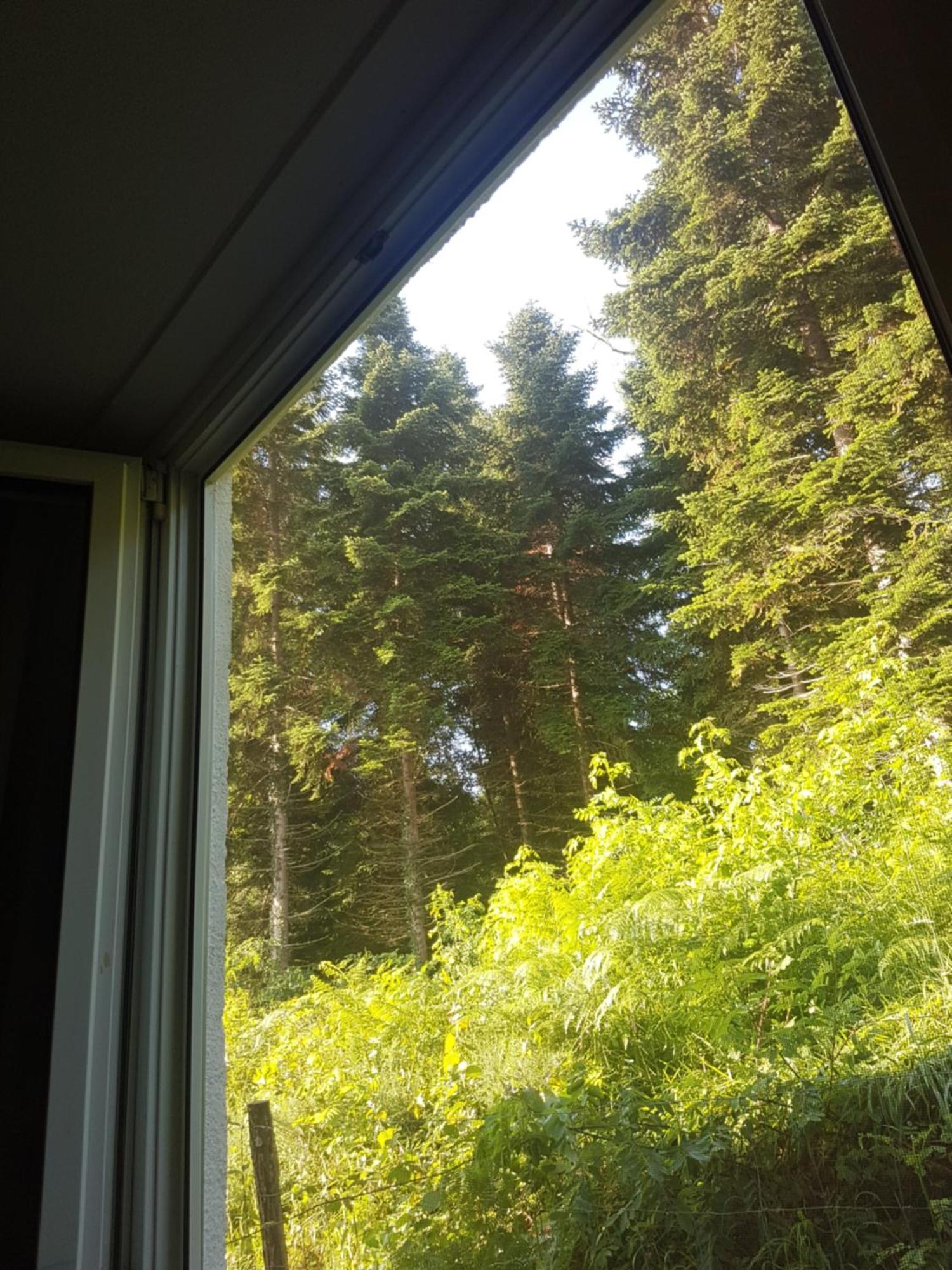 Mon Chalet En Ariege Avec Piscine Daumazan-sur-Arize Exteriör bild