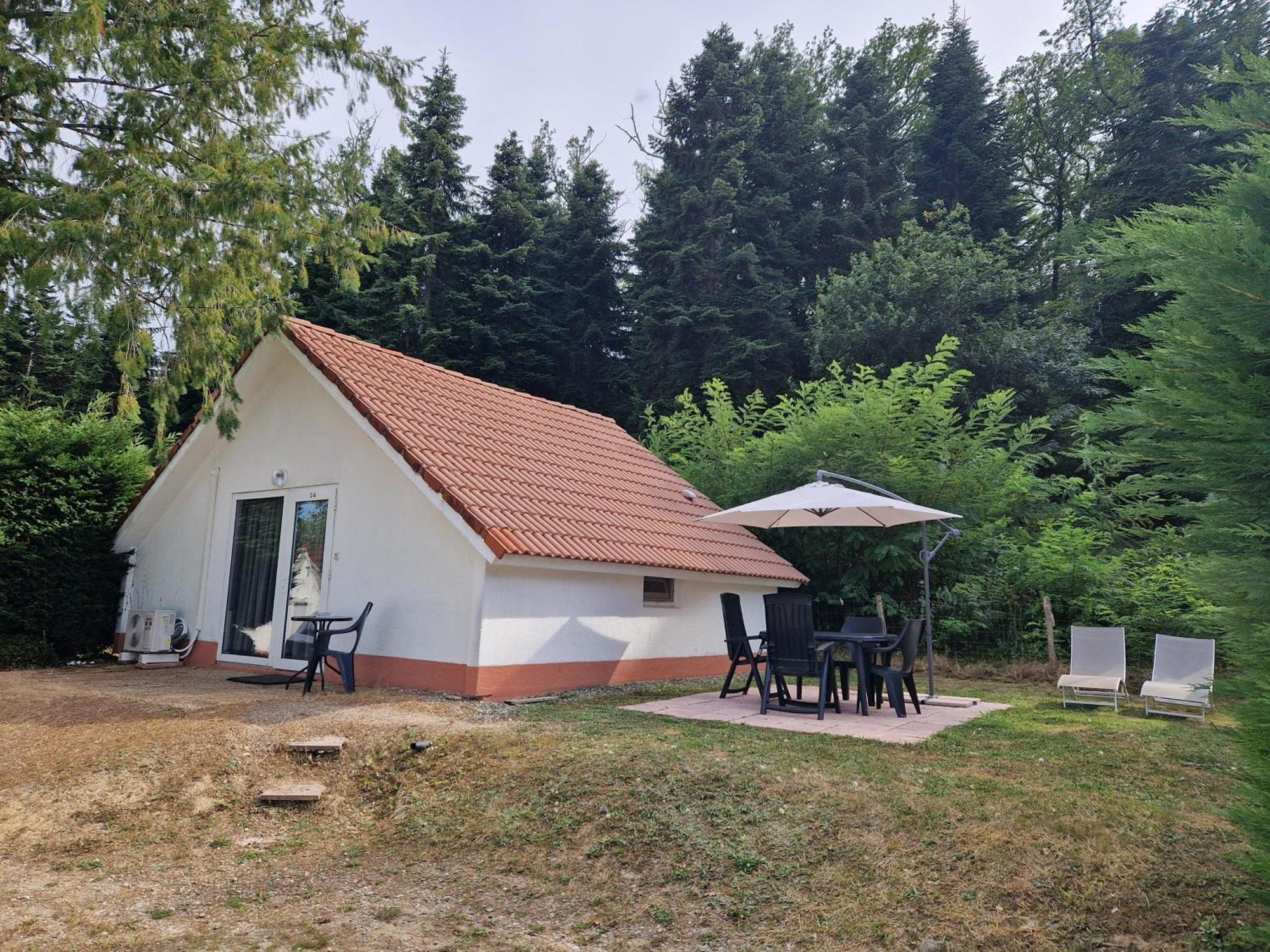 Mon Chalet En Ariege Avec Piscine Daumazan-sur-Arize Exteriör bild